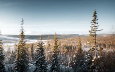 Gruplar için 8 günlük Murmansk bölgesinde Moskova ve Kuzey Işıkları turu